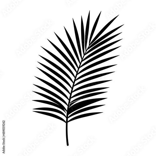 A Palm Tree Leaf Silhouette vector isolated on a white background