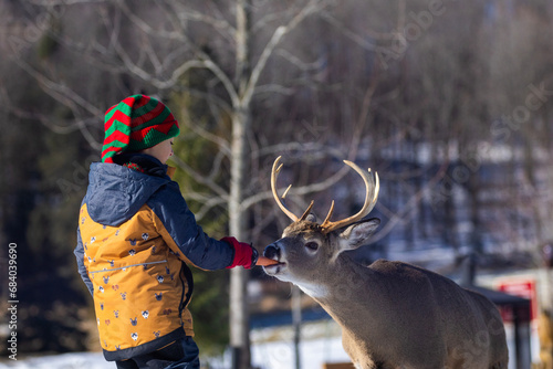 Cute child feeding a deer in winter photo