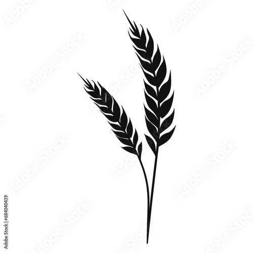 Wheat ears Vector isolated on a white background, A Wheat grain silhouette  photo