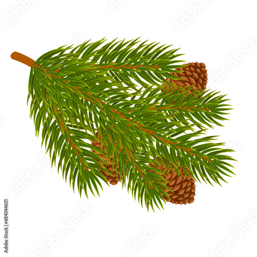 Pine branch with Cones. Realistic vector illustration isolated on white background for New Year and Christmas design and much more