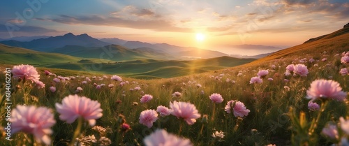 Vibrant sunset over a blooming flower field in the countryside 