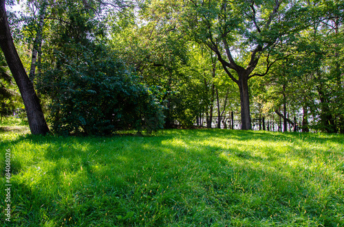 Green smooth lawn and trees in the park in summer
