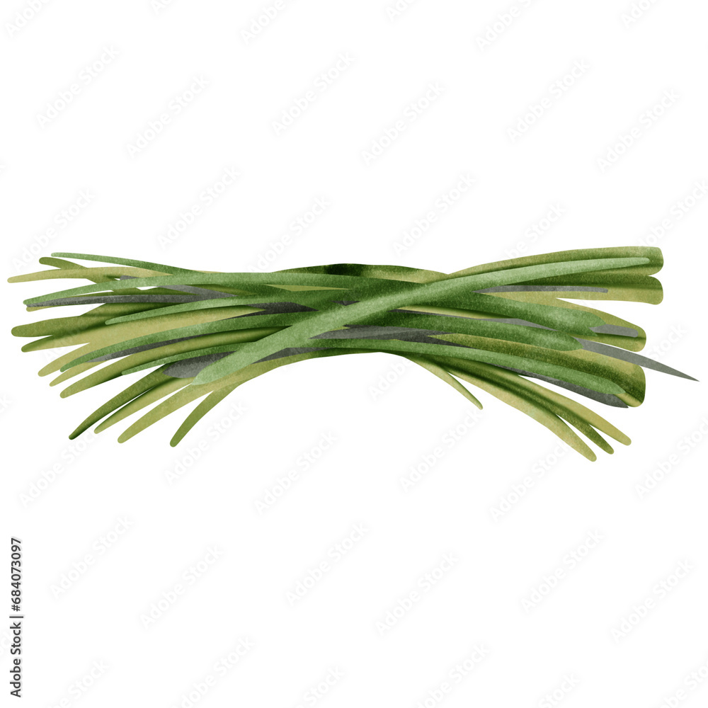 Grass Grass