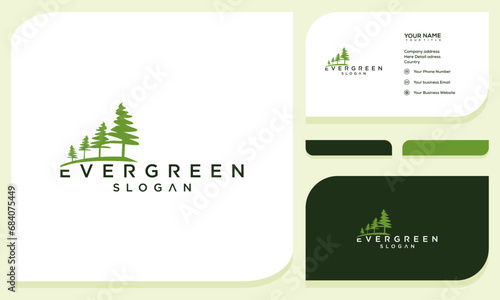 pine evergreen fir hemlock spruce conifer cedar coniferous cypress larch pine tree forest logo and business card design template