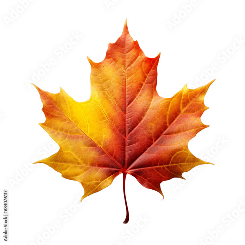 Autumn maple leaf isolated on a transparent background, autumn leaves PNG