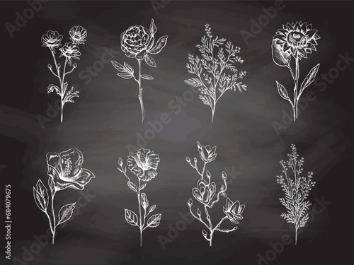 Hand-drawn floral sketch set. Monochrome flower doodle on chalkboard background. Black and white vintage element. Vector sketch. Detailed retro style..