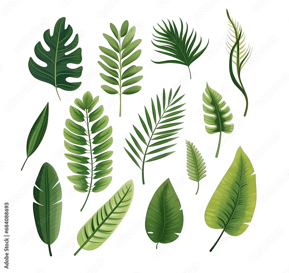 Naklejka premium watercolor vector Set of tropical leaves. Variety. Ornamental plants. Banana leaves. Transparent background