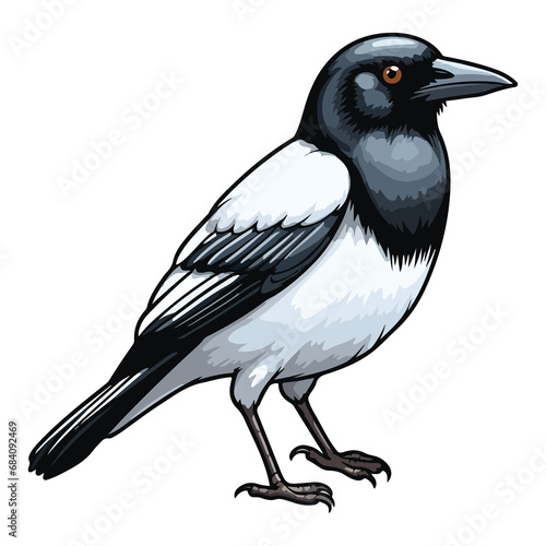 Magpie bird animal in cartoon style on transparent background, Magpie bird sticker design.