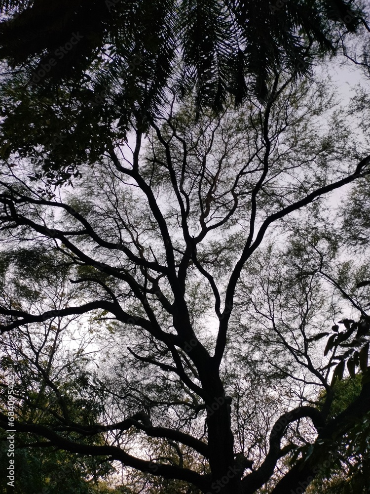 Fototapeta premium mixed pictures of building , trees , flowers, lord Radha krishna