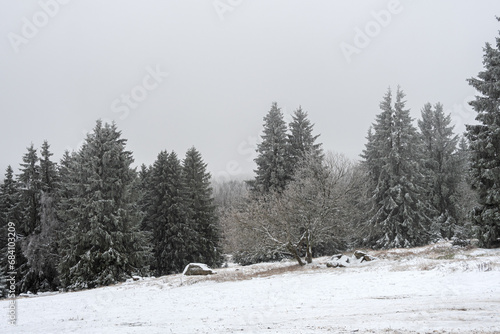 Wallpaper Mural E in Blick in eine weiß graue Landschaft aus Schnee und Nebel. Die Bäume frieren ein Torontodigital.ca