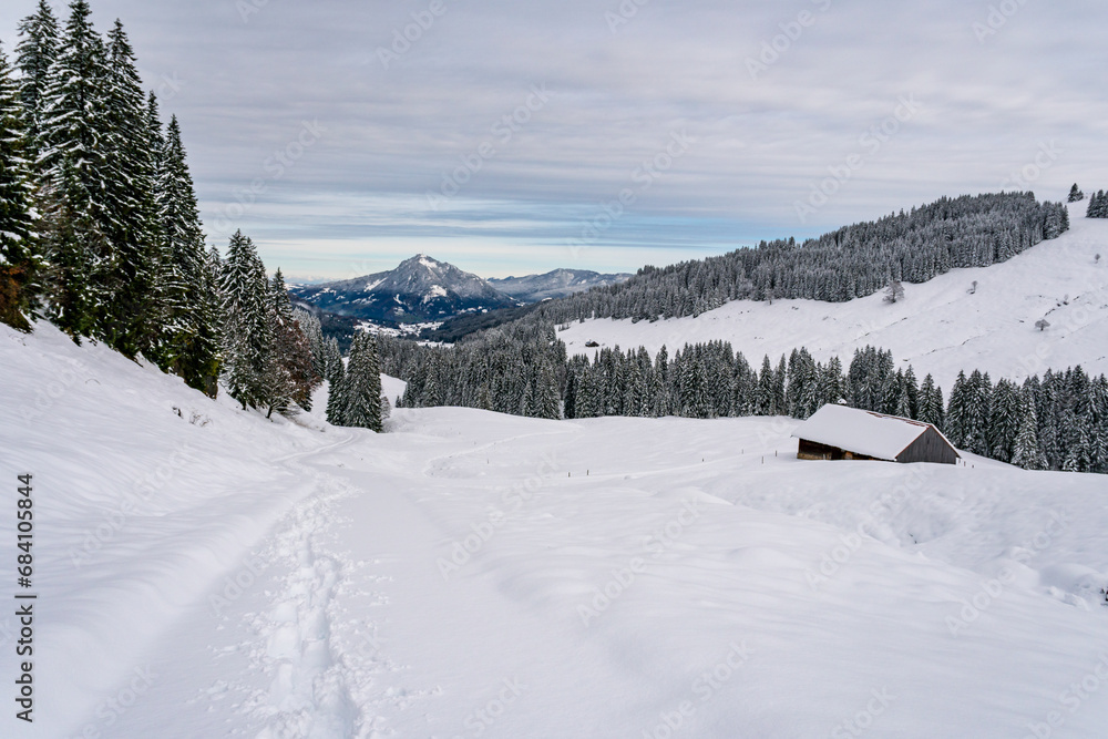 Snowshoe tour to the Tennenmooskopf on the Nagelfluhkette in the Allgau Alps