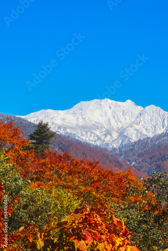 立山の紅葉