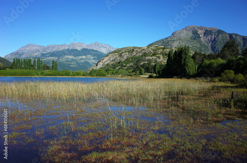 Nature of Patagonia, Part of the lake overgrown with grass, Laguna Espejo at Futaleufu, Chile