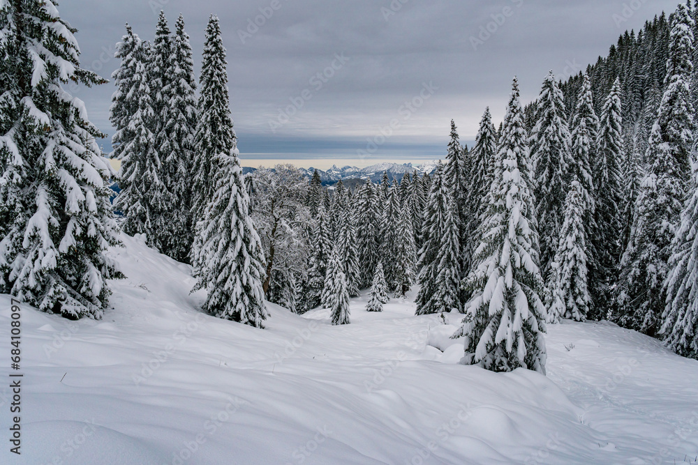 Fototapeta premium Snowshoe tour to the Tennenmooskopf on the Nagelfluhkette in the Allgau Alps