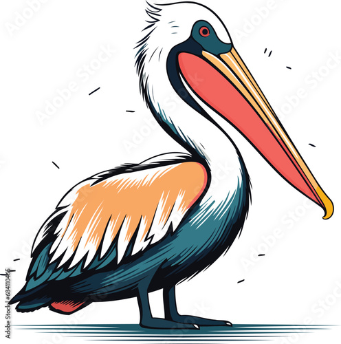 Pelican vector illustration isolated pelican on white background photo