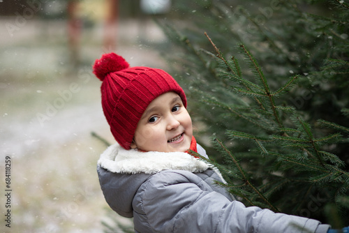 Cute little kid choosing freshly cut Christmas tree at outdoor fair. Holiday celebration concept.