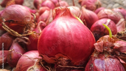 Harvested shallots that have been cleaned and dried in the sun are ready to be used as a cooking spice