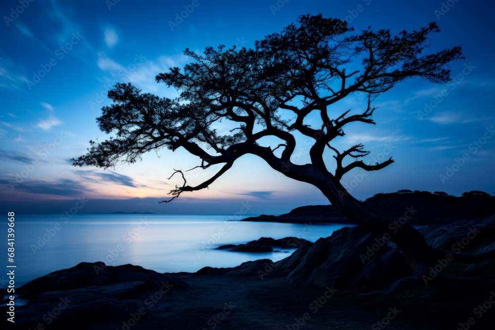Hawthorn tree silhouetted by night sea in serene landscape Hawthorn tree silhouetted by night sea in serene landscape