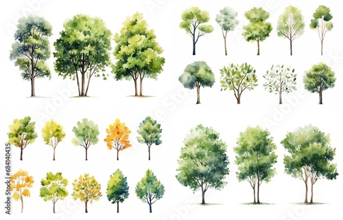 watercolor style illustration of various type of trees, summer and autumn collection set isolated on white background, Generative Ai