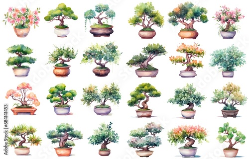watercolor style illustration of various type bon-sai tree in pot or tray flower blossoming summer and spring, collection set isolated on white background, Generative Ai