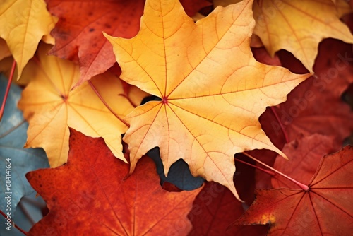 Exquisite Transition  Unveiling the Vibrant Spectrum of Autumn Leaves Generative AI