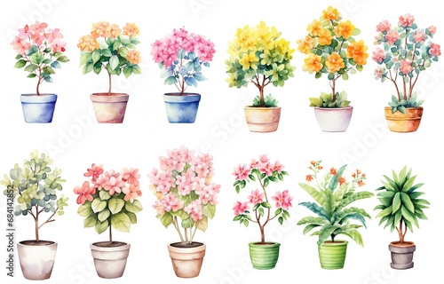 watercolor style illustration of various type of tropical flower pot plant  summer vibe collection set isolated on white background  Generative Ai