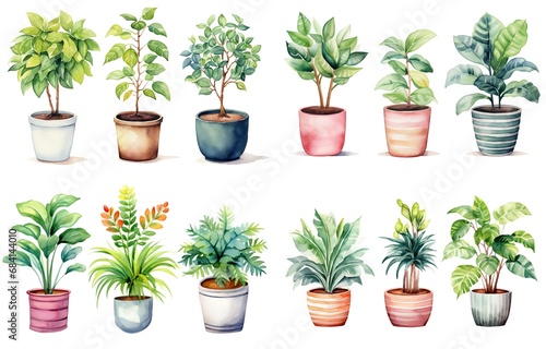watercolor style illustration of green leaf pot plants  terracotta pot  minimal simple style    isolated on white background  collection set  Generative Ai