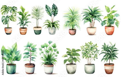 watercolor style illustration of various type of tropical foliage pot plant summer collection set isolated on white background, Generative Ai