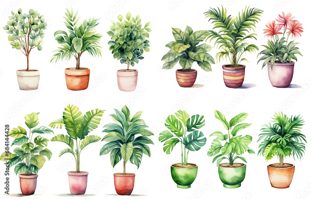 Fototapeta premium watercolor style illustration of various type of tropical foliage pot plant summer collection set isolated on white background, Generative Ai