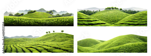 Set of tea plantations, cut out