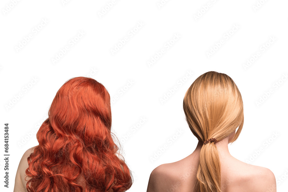 Fototapeta premium Woman backside, beautiful woman with ombre hair isolated on a white.