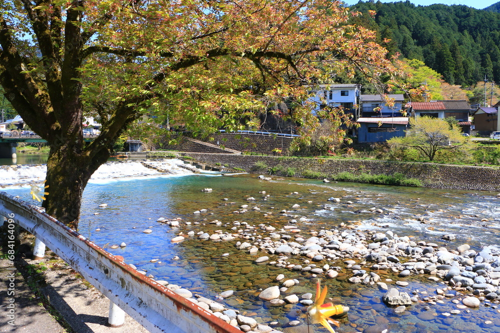 日本の川