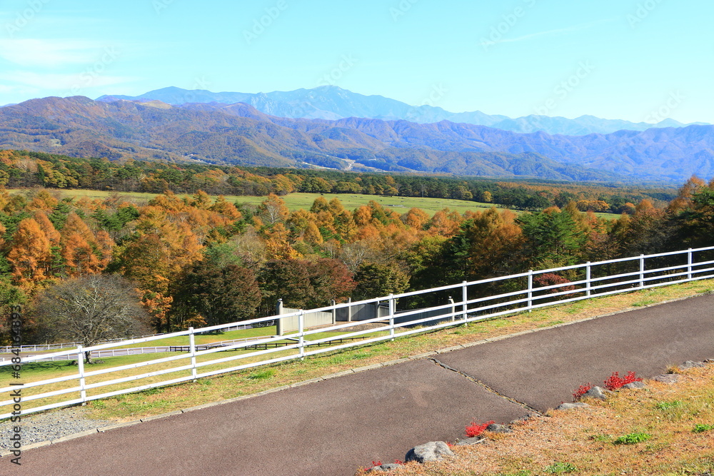 野原と紅葉
