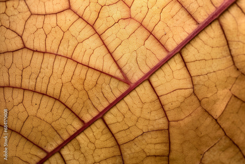 close up view of a leaf s texture created with Generative Ai