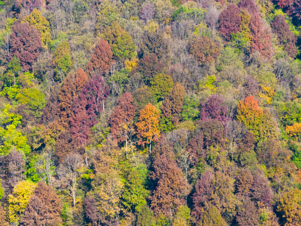 Wuhan Mu Lan Tianchi Scenic Area Late Autumn Scenery Wuhan Mu Lan Tianchi Scenic Area Late Autumn Scenery