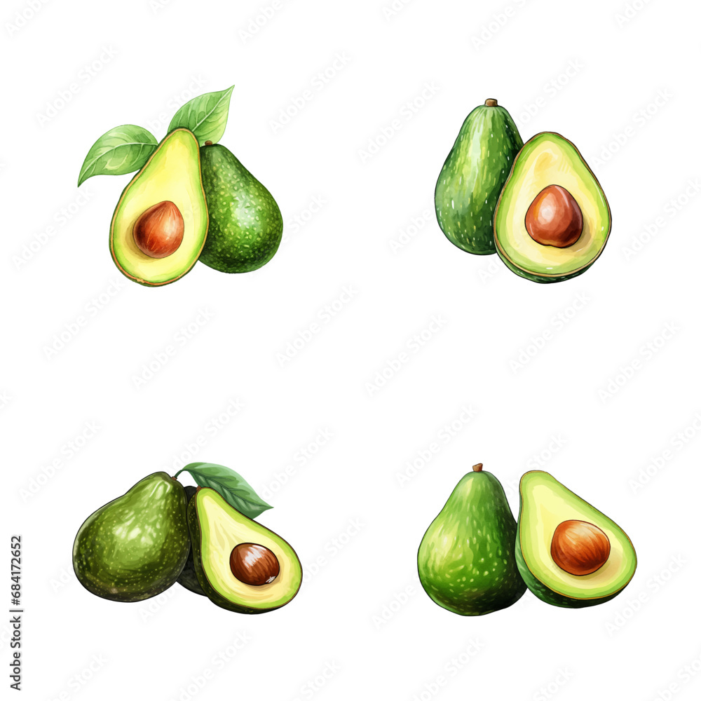 set of watercolor illustration of avocado fruit isolated on a white background