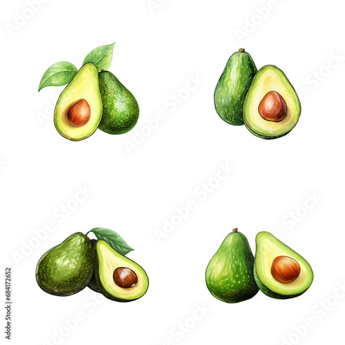 set of watercolor illustration of avocado fruit isolated on a white background