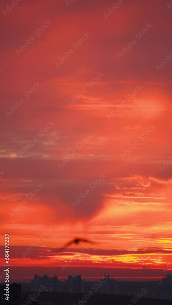 Vertical video of bright red sky in big city, aerial view. Blurred black bird flies in foreground of shot. Sunrise during strong geomagnetic storm and solar flares, static shot. Vertical video of bright red sky in big city, aerial view. Blurred black bird flies in foreground of shot. Sunrise during strong geomagnetic storm and solar flares, static shot.