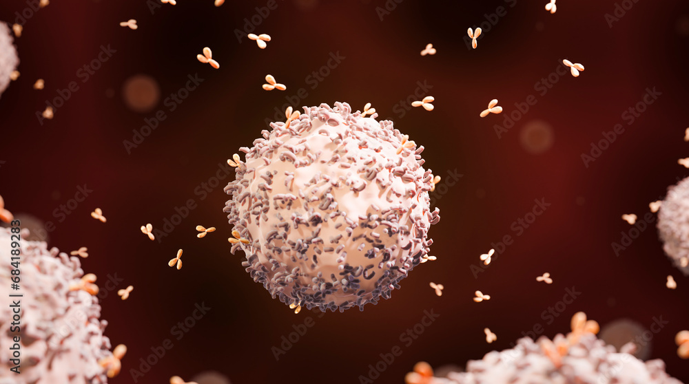 B-cell releasing antibodies - obrazy, fototapety, plakaty 