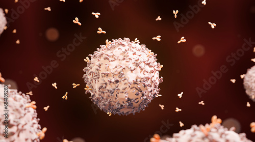 B-cell releasing antibodies photo