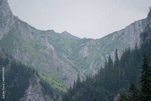 hillside with a smoky and foggy view