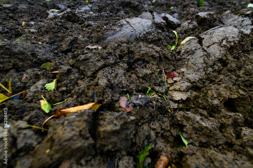 Ploughed vegetable garden field. Home garden prepared for winter. End of growing season. Ploughed vegetable garden field. Home garden prepared for winter. End of growing season.