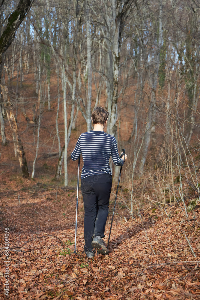 A child boy walks through the forest with a stick for support. Outdoor tourism
