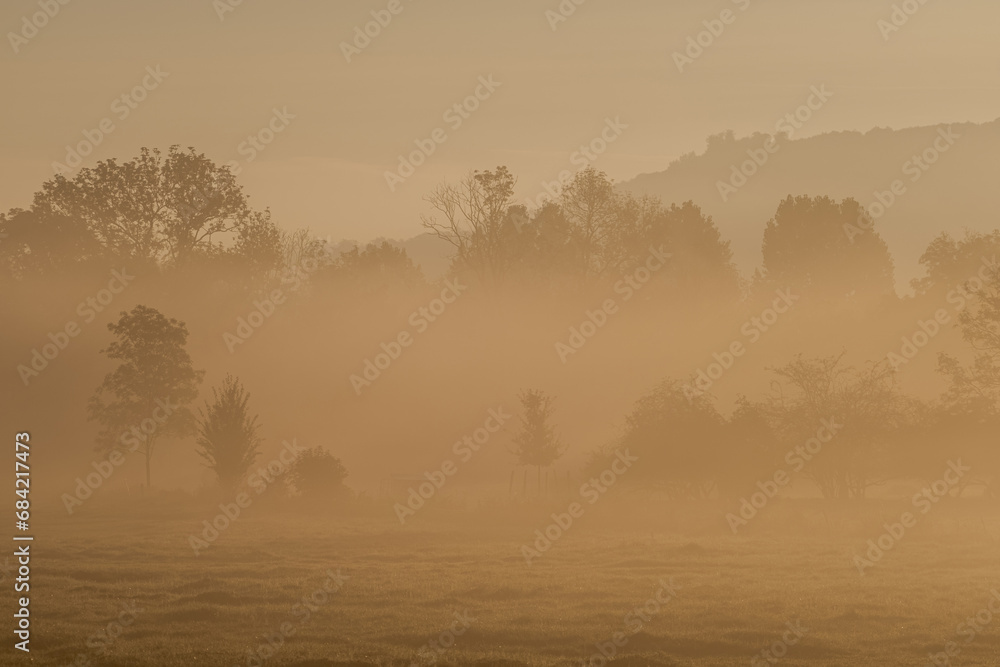 Atmospheric landscape with trees at sunrise and fog glowing orange in Bad Pyrmont, Germany. Atmospheric landscape with trees at sunrise and fog glowing orange in Bad Pyrmont, Germany.