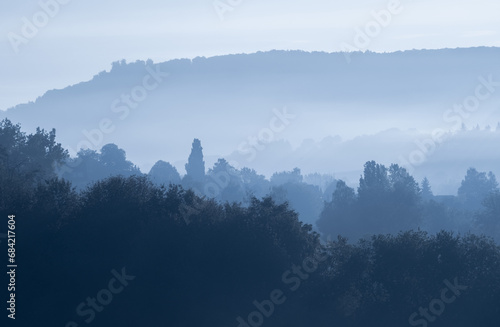 Atmospheric landscape with trees at sunrise and fog glowing orange in Bad Pyrmont  Germany.