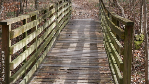 wooden bridge in the forest