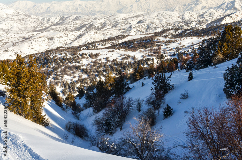 ski traces and fresh powder on the slopes of Amirsoy mountain resort (Tashkent region, Uzbekistan)