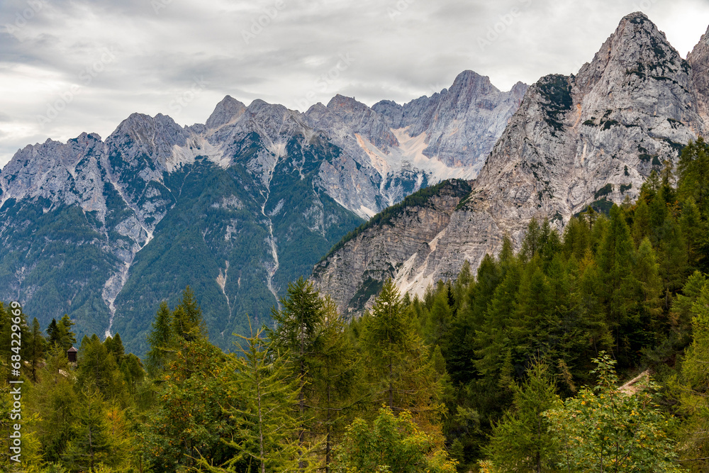 Mountains and forest. Julian Alps  In Slovenia.