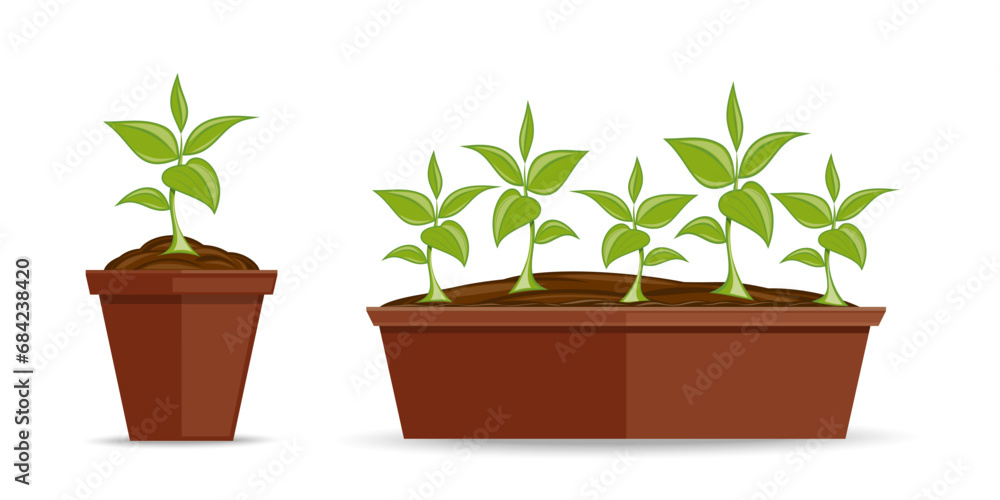 Green plants in flower pots icons set. Flower pot with young green plants. Vector illustration Green plants in flower pots icons set. Flower pot with young green plants. Vector illustration