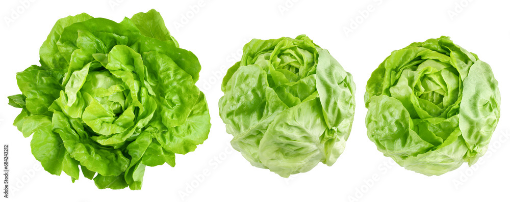 Obraz premium salad, lettuce, isolated on white background, clipping path, full depth of field